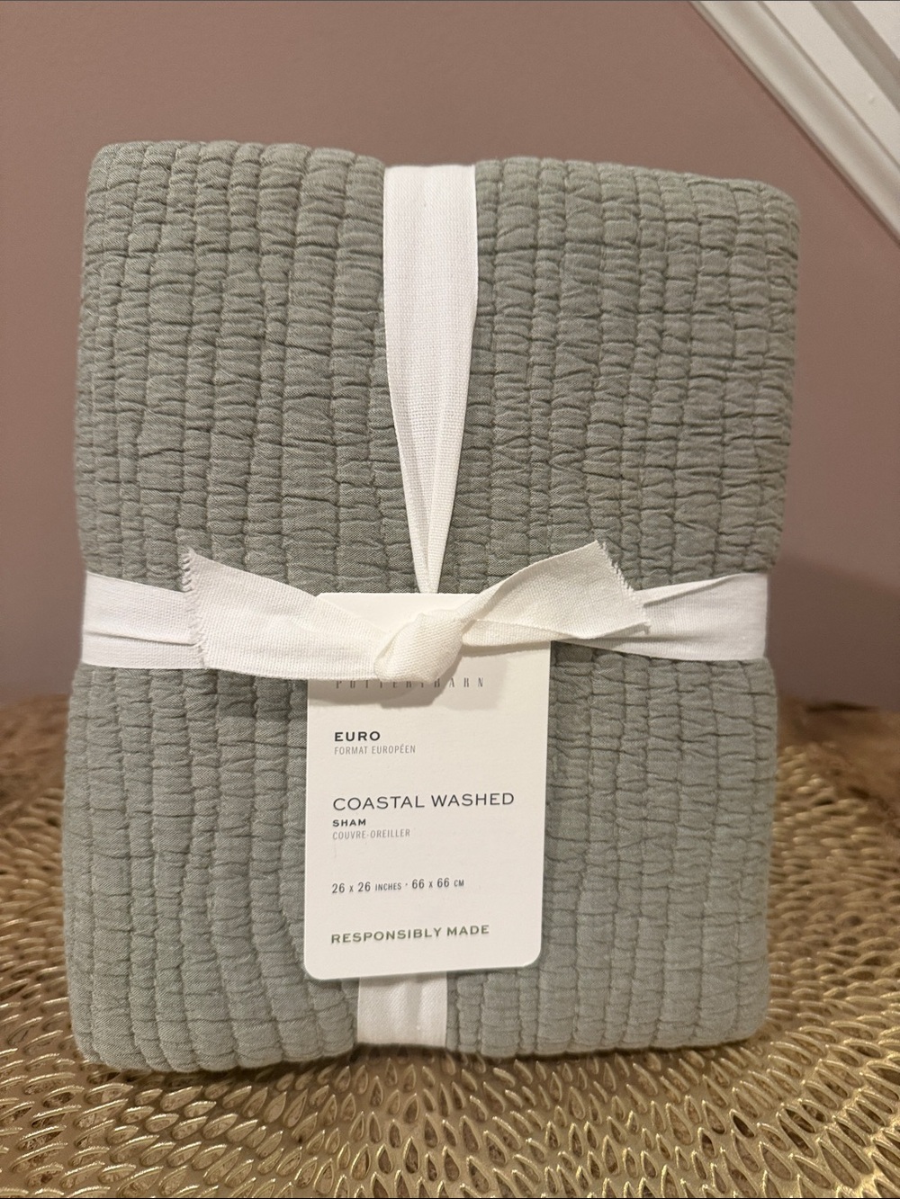 Pottery Barn Coastal Washed Euro Sham - Eucalyptus